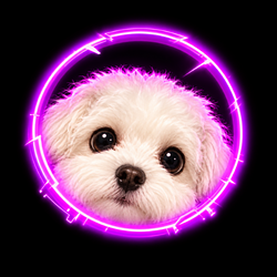 auradog