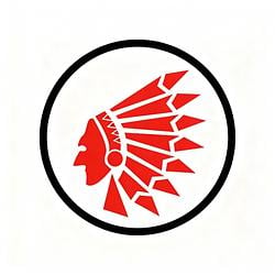 INDN Token logo