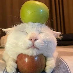 ACAT