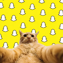 snapcat