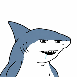 SHARK / SOL