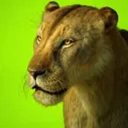 Panthera