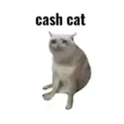 CASHCAT / SOL
