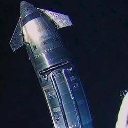 stardick
