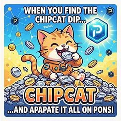 CCAT / NVDA