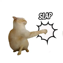 SLAP / BNB