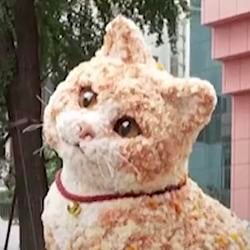 CGCAT