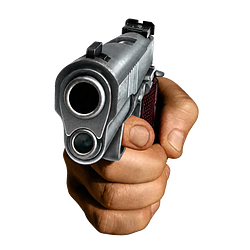 GUN