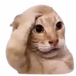 jeeted / SOL