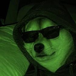 GM