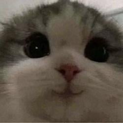 :)
