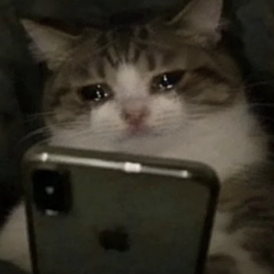 SOBCAT