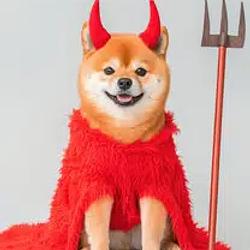 DAREINU