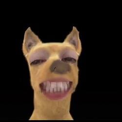 WHATDOG
