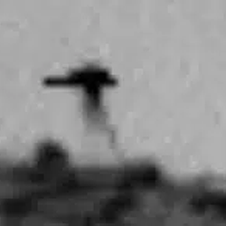 SOL3924