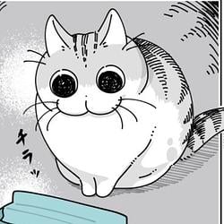 Kyuruga