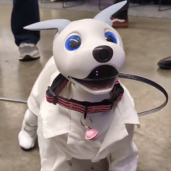 AIBO