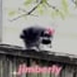 JIMBERLY / SOL