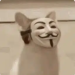AnonCat / SOL