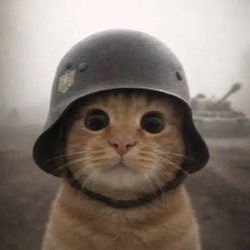 TrenchCat