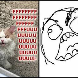 RAGECAT