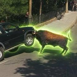BULL / SOL