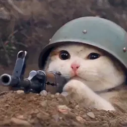 TRENCHCAT