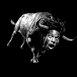 PULLBULL / SOL