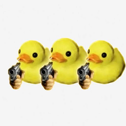 Duckies / SOL