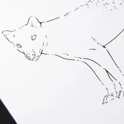 LEOPARD / USDC