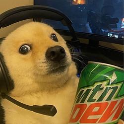 gamer