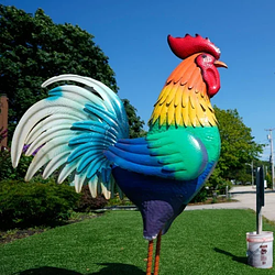 Rooster / SOL