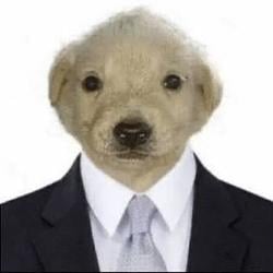 $DOGBOSS