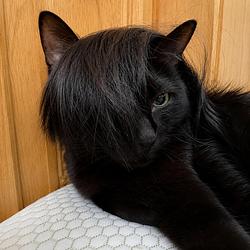 emo