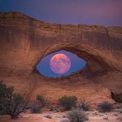 MoonEye / SOL