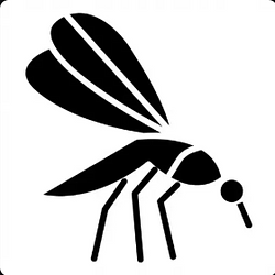 Mosquito / SOL