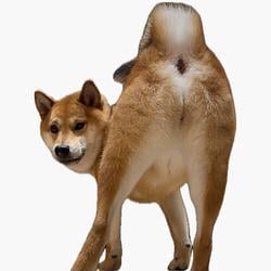 PRINU