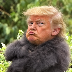 TrumPGamba