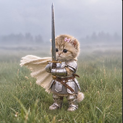 knightcat