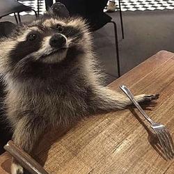HUNGRYRAC