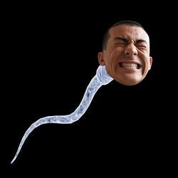 SPERTOGI