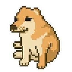 CAS DOG / SOL