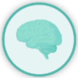 SpikingBrain