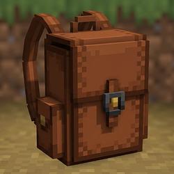 BAGS / SOL