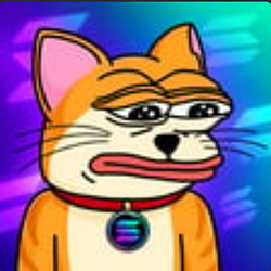 Catsi