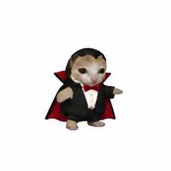 Vampurr