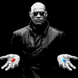 MatriX