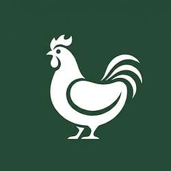 CHICKEN / SOL