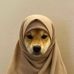 hijab