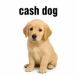 CASHDOG / USDG